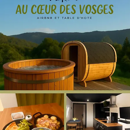 Au Coeur Des Vosges Gæstehus Thiéfosse